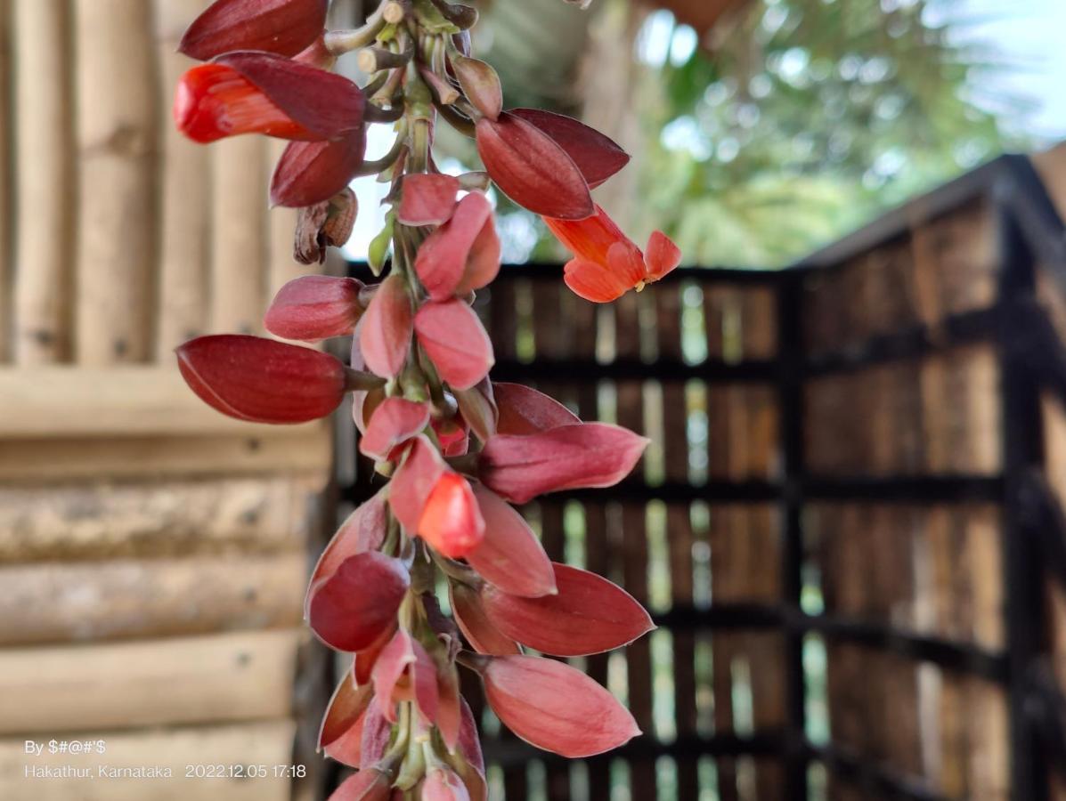 ماديكيري Pool Side Villa'S Of Coorg المظهر الخارجي الصورة